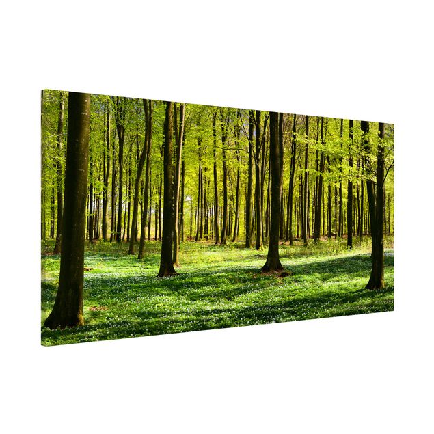 Magnetic memo board - Forest Meadow