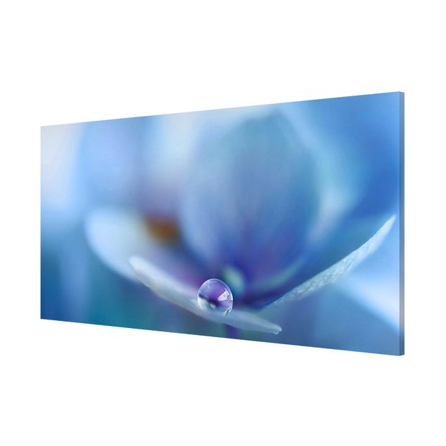 Magnetic memo board - Water Drops Hydrangeas