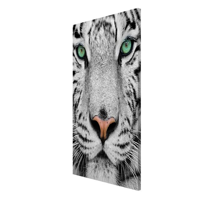 Magnetic memo board - White Tiger