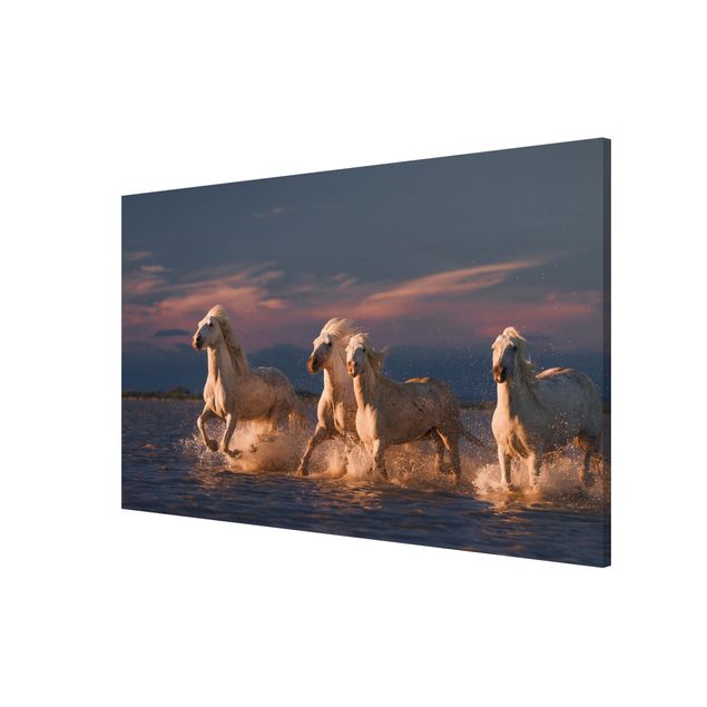 Magnetic memo board - Wild Horses In Kamargue