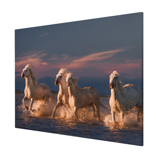 Magnetic memo board - Wild Horses In Kamargue