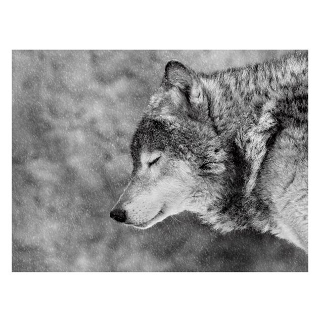 Magnetic memo board - Winter Wolf