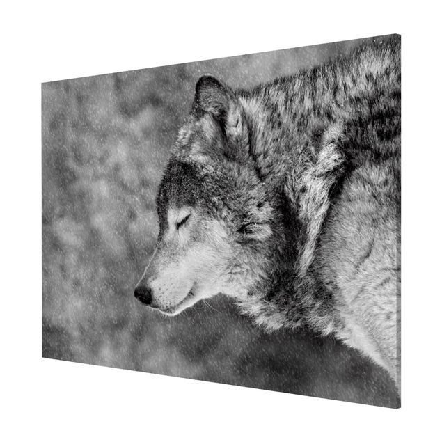 Magnetic memo board - Winter Wolf