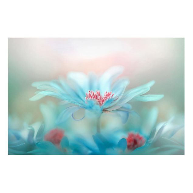 Magnetic memo board - Delicate Flowers In Pastel