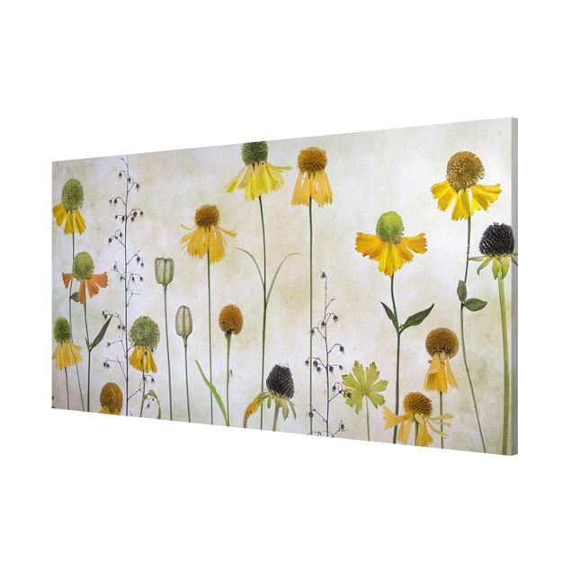 Magnetic memo board - Delicate Helenium Flowers