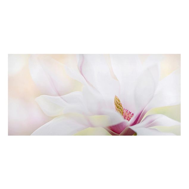 Magnetic memo board - Delicate Magnolia Blossom