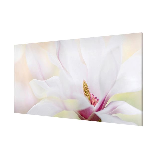 Magnetic memo board - Delicate Magnolia Blossom