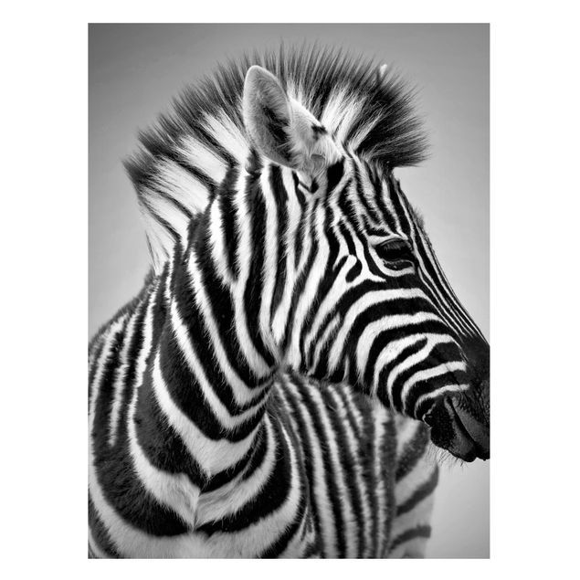 Magnetic memo board - Zebra Baby Portrait II