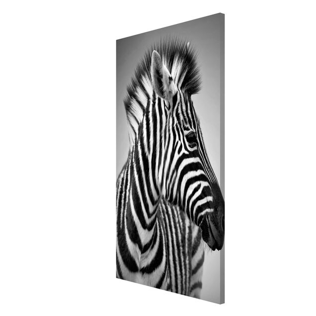 Magnetic memo board - Zebra Baby Portrait II