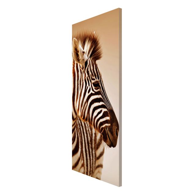 Magnetic memo board - Zebra Baby Portrait