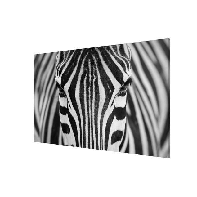 Magnetic memo board - Zebra Look