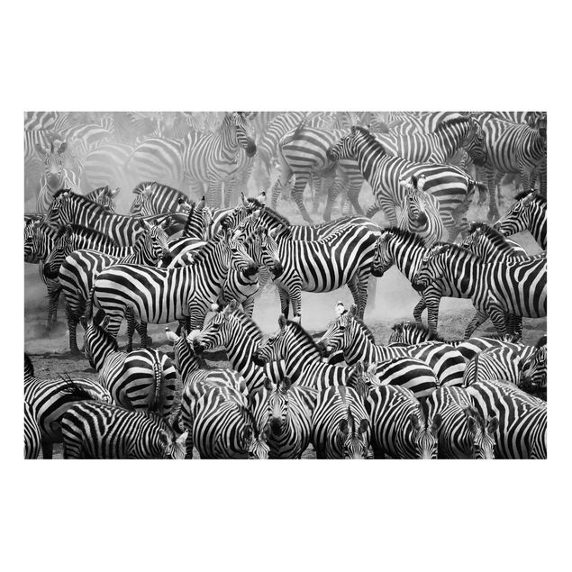 Magnetic memo board - Zebra herd II