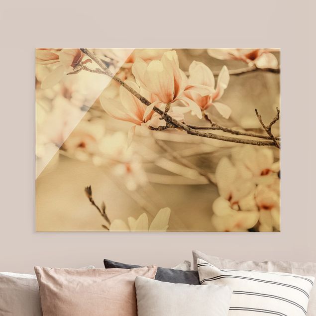 Glass print - Magnolia Twig Vintage Style - Landscape format