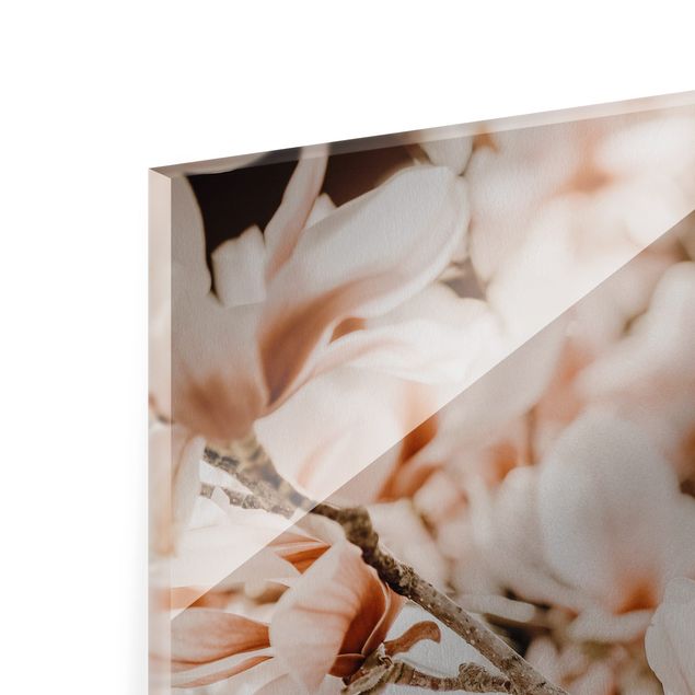 Glass print - Magnolia Twig Vintage Style