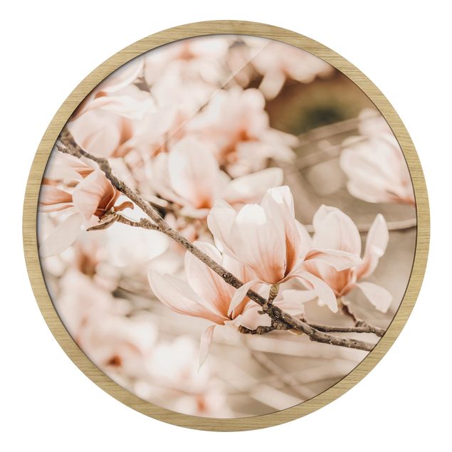 Circular framed print - Magnolia Twig Vintage Style
