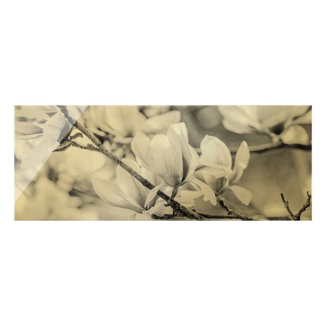 Glass print - Magnolia Twig Vintage Style II - Panorama
