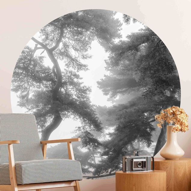Self-adhesive round wallpaper - Majestic Forest In Black And White