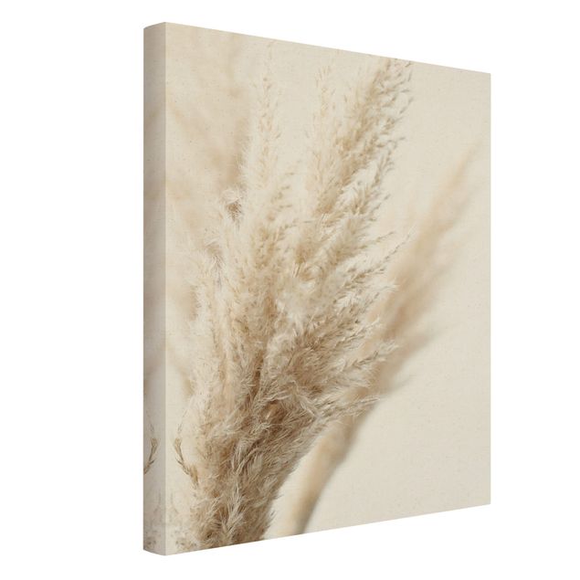 Canvas print gold - Macro Image Pampas Grass