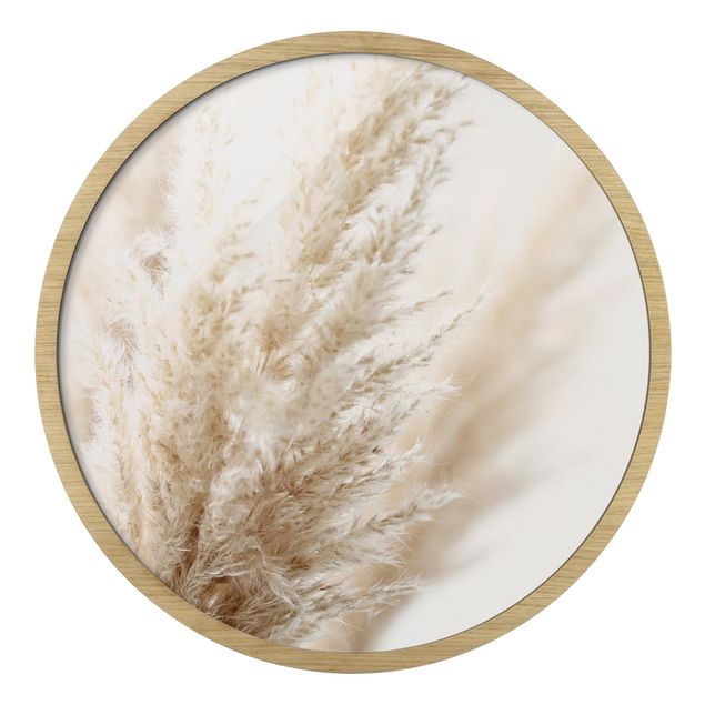 Circular framed print - Macro Image Pampas Grass