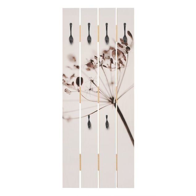 Wooden coat rack - Macro Image Dried Flowers In Shadow