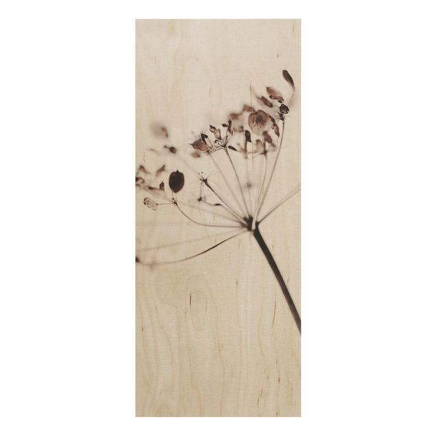 Wood print - Macro Image Dried Flowers In Shadow