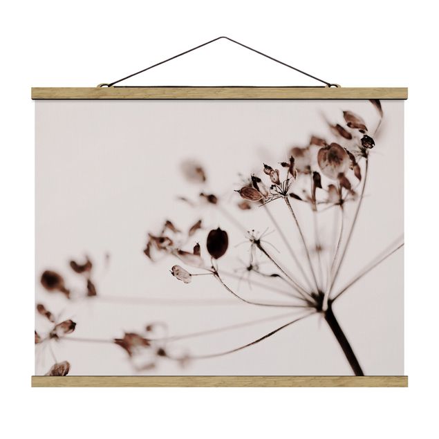 Fabric print with poster hangers - Macro Image Dried Flowers In Shadow - Landscape format 4:3