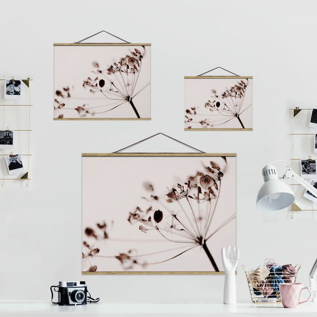 Fabric print with poster hangers - Macro Image Dried Flowers In Shadow - Landscape format 4:3