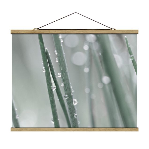 Fabric print with poster hangers - Macro Image Beads Of Water On Grass - Landscape format 4:3