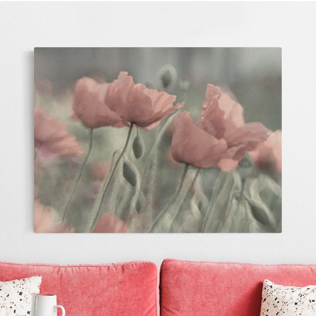 Natural canvas print - Picturesque Poppy - Landscape format 4:3