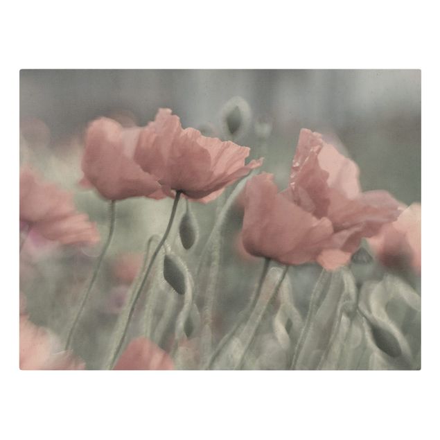 Natural canvas print - Picturesque Poppy - Landscape format 4:3