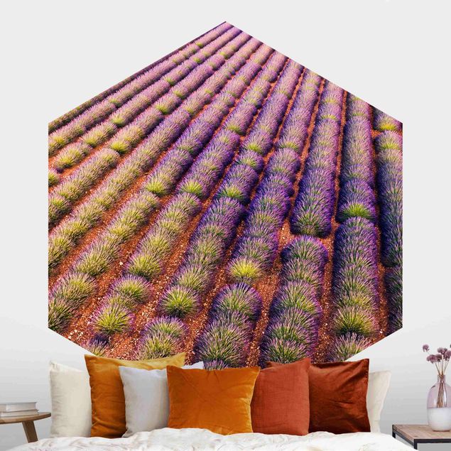 Hexagonal wallpapers Picturesque Lavender Field