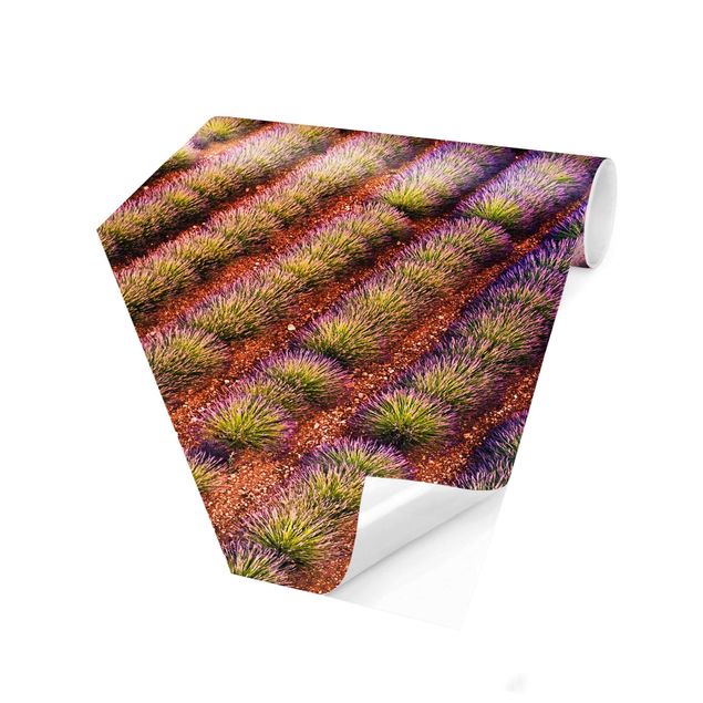 Self-adhesive hexagonal pattern wallpaper - Picturesque Lavender Field