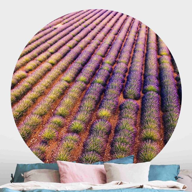 Matteo Colombo art Picturesque Lavender Field