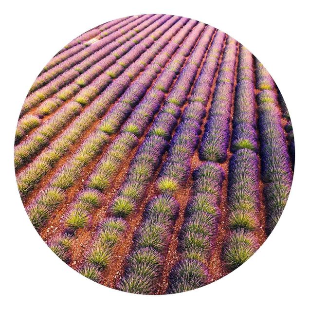 Self-adhesive round wallpaper - Picturesque Lavender Field