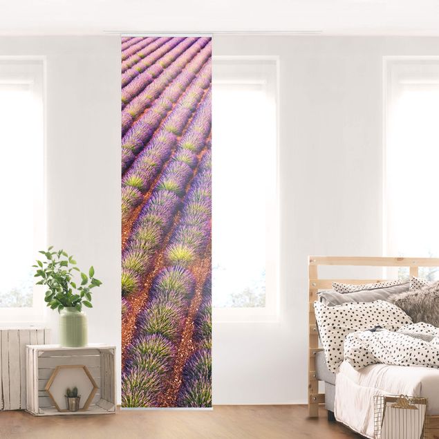 Matteo Colombo prints Picturesque Lavender Field