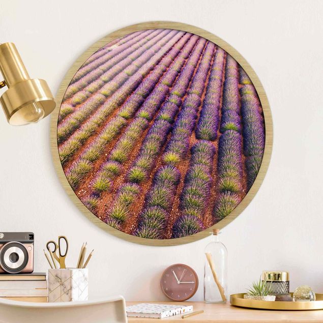 Framed prints round Picturesque Lavender Field
