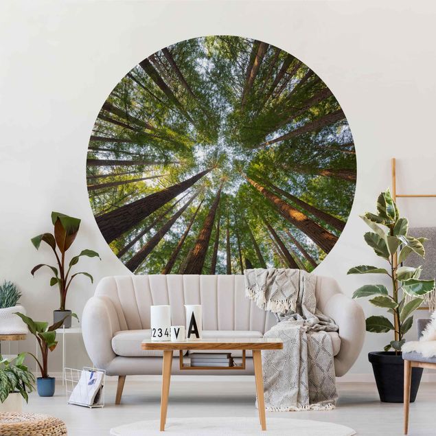 Self-adhesive round wallpaper - Sequoia Tree Tops