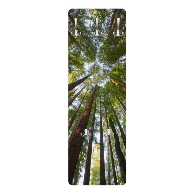 Coat rack - Sequoia Tree Tops