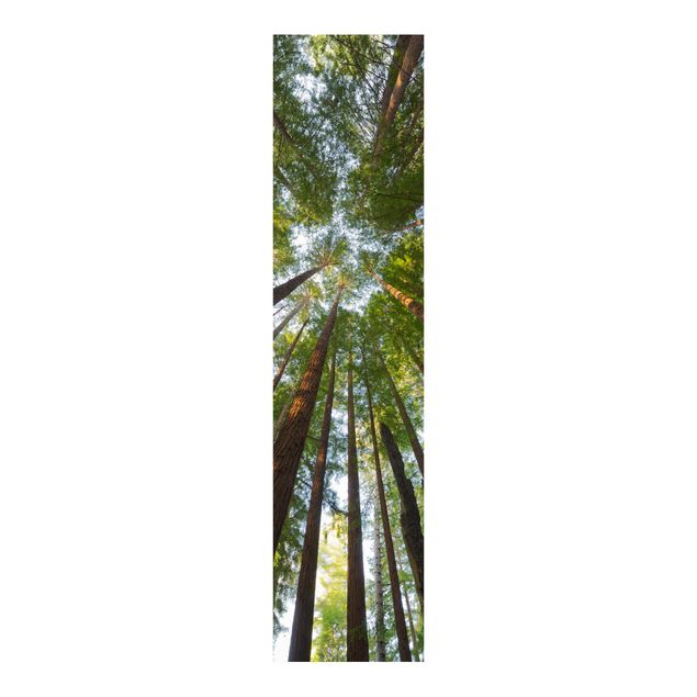 Sliding panel curtains set - Sequoia Tree Tops