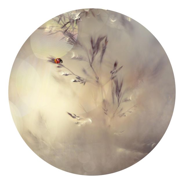 Self-adhesive round wallpaper - Ladybird On Meadow Grass