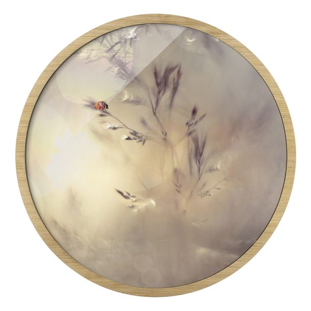 Circular framed print - Ladybird On Meadow Grass