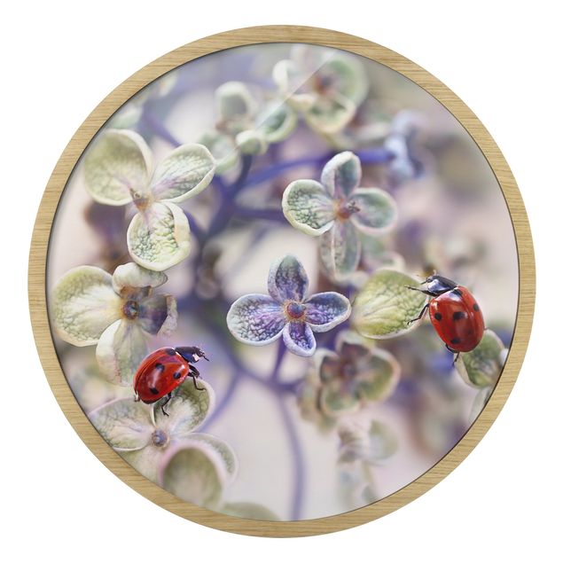 Circular framed print - Ladybird In The Garden