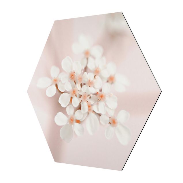 Alu-Dibond hexagon - Mini Flowers In Pink Light