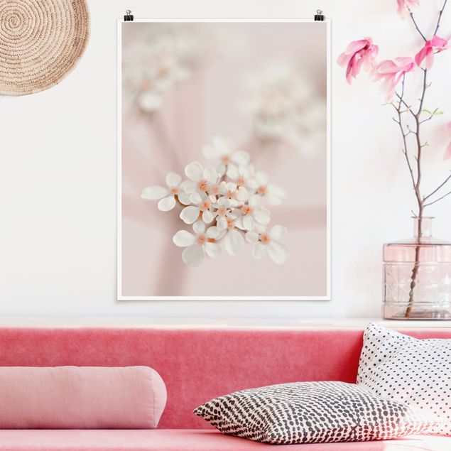 Poster - Mini Flowers In Pink Light