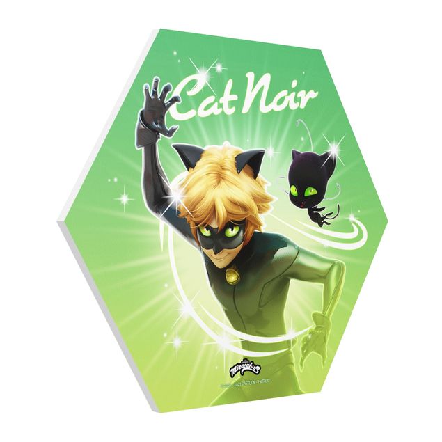 Forex hexagon - Miraculous Cat Noir And Plagg