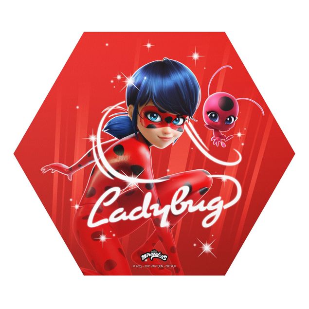 Forex hexagon - Miraculous Ladybug And Trixx