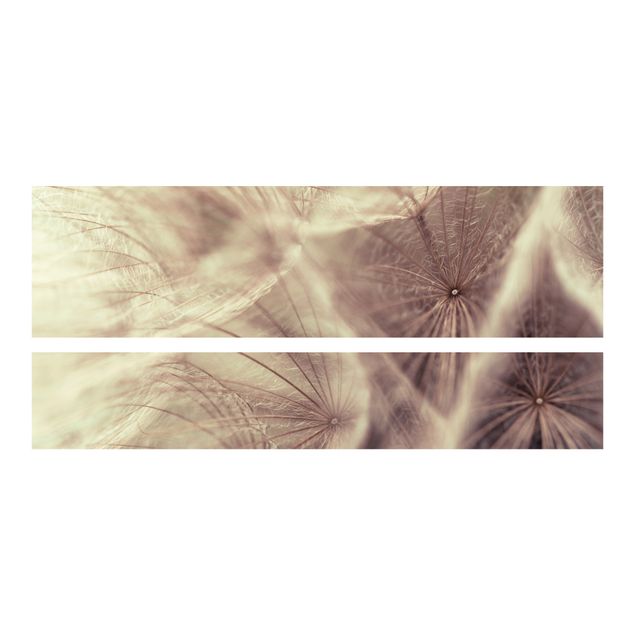 Adhesive film for furniture IKEA - Malm bed 160x200cm - Detailed Dandelion Macro Shot With Vintage Blur Effect
