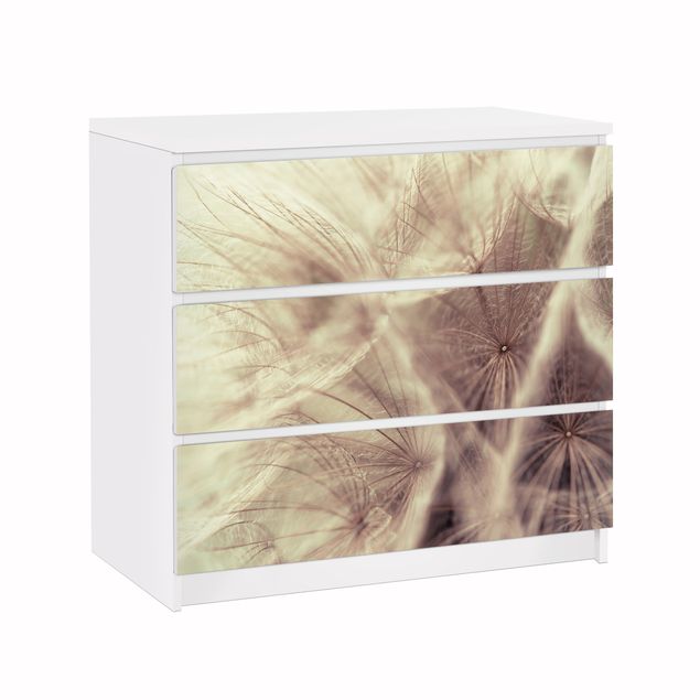Adhesive film for furniture IKEA - Malm chest of 3x drawers - Detailed Dandelion Macro Shot With Vintage Blur Effect