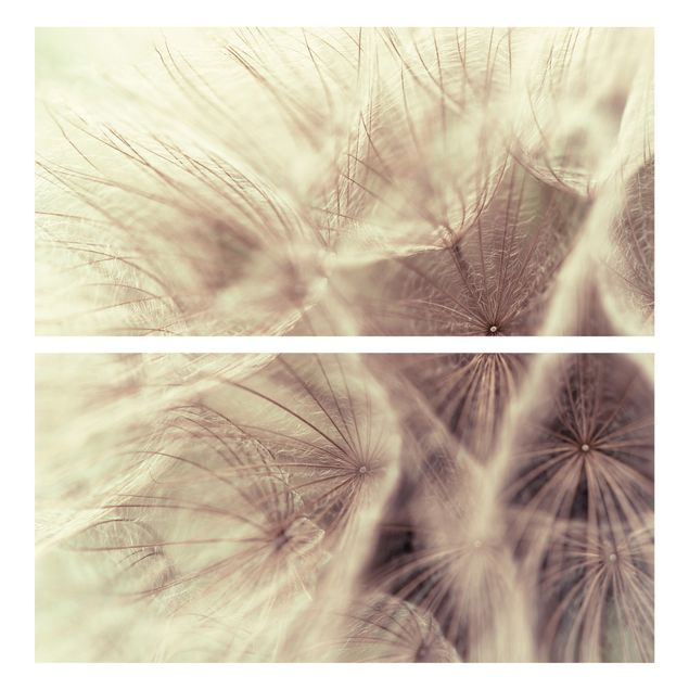 Adhesive film for furniture IKEA - Malm chest of 2x drawers - Detailed Dandelion Macro Shot With Vintage Blur Effect