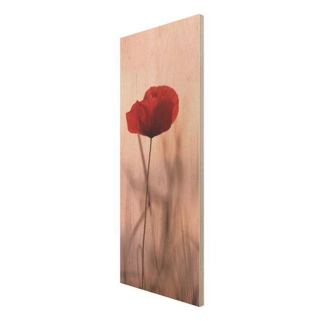 Wood print - Poppy Flower In Twilight